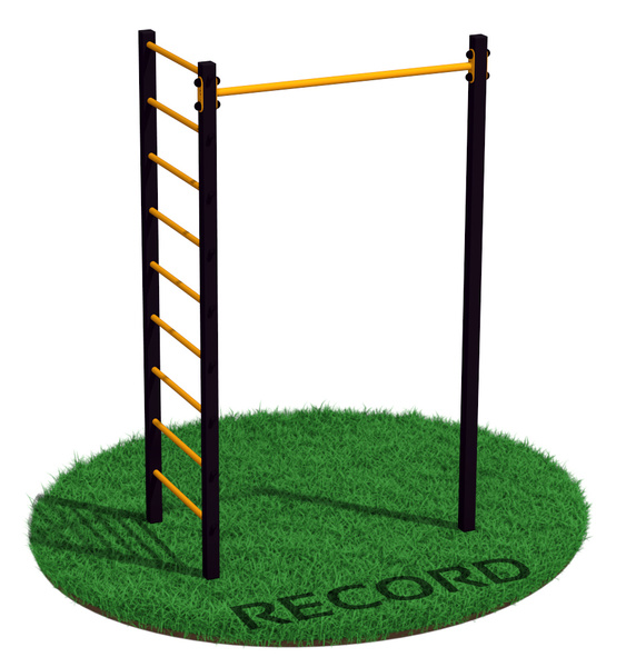 Уличный турник + шведская стенка Record RW-1 профиль 80х80 х 3 мм