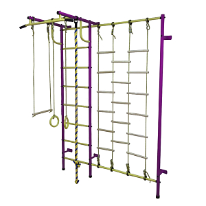 Детский спортивный комплекс ДСК "Пионер-С3Л"  (пурпурный-желтый)