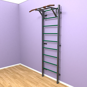 Шведская стенка "LittleSport" Pull-Up (черный*зеленый)