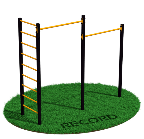 Уличный турник двойной + шведская стенка Record RW-2 профиль 80х80 х 2 мм